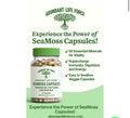 Bladderwrack, Irish Moss & Burdock Root Capsules