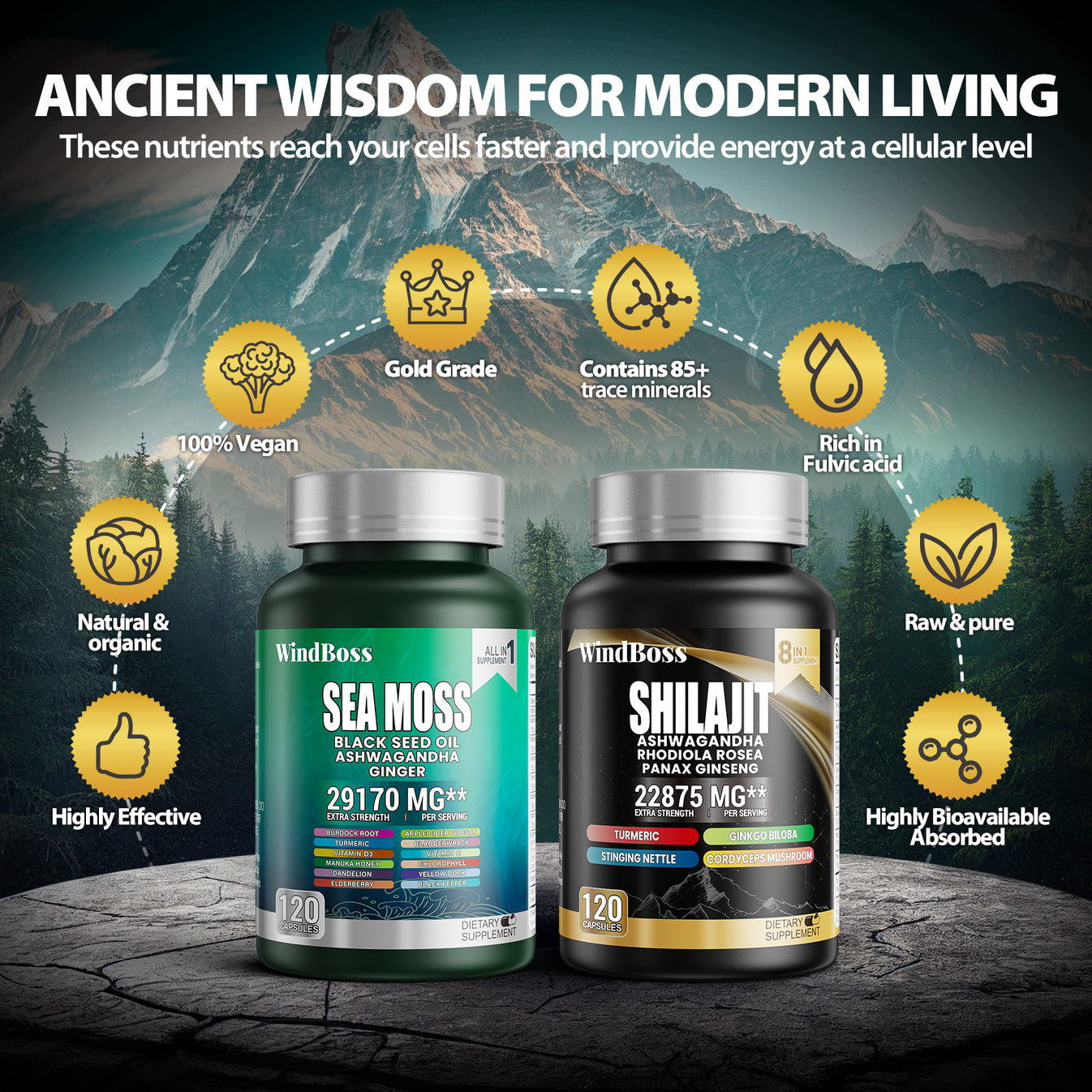 Seamoss & Shilajit Combo 120 PK