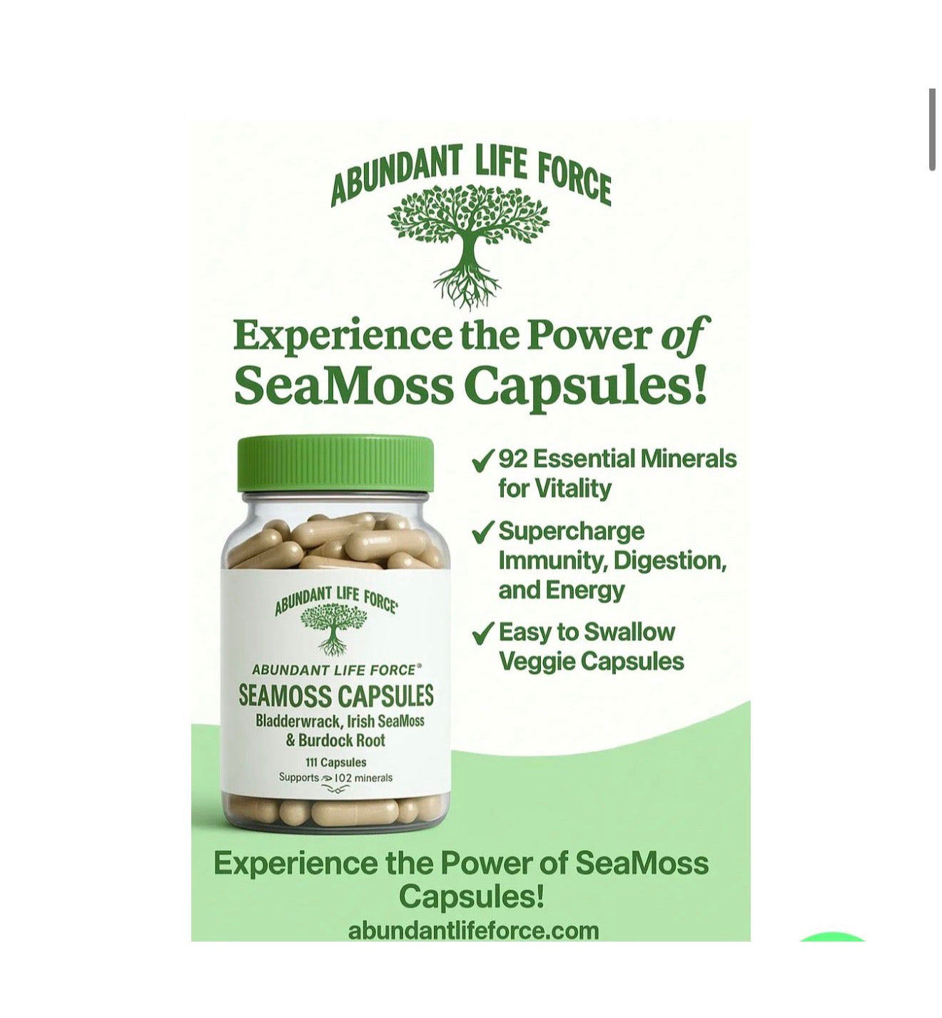 Bladderwrack, Irish Moss & Burdock Root Capsules
